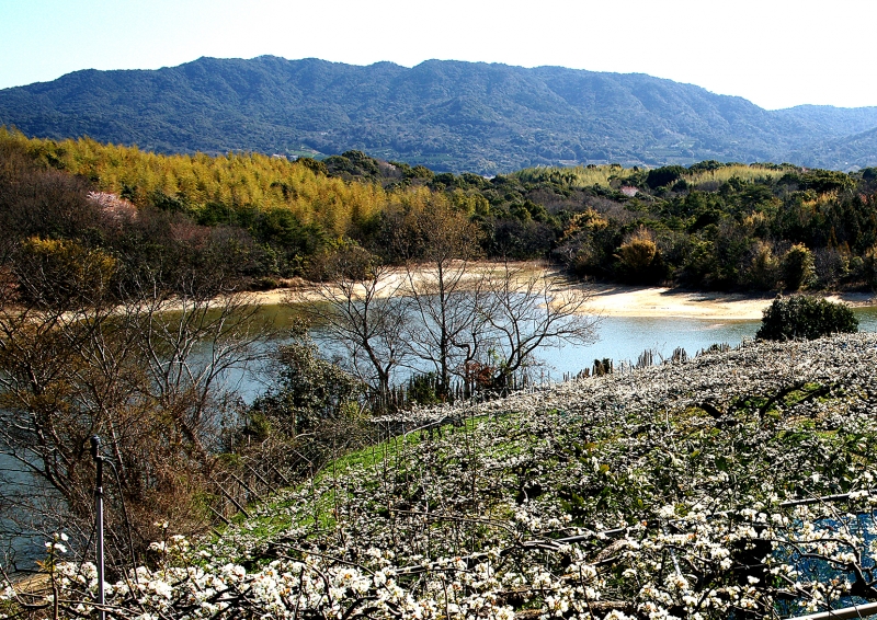 小岱山（荒尾八景 第五景）